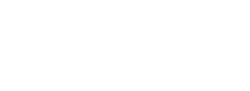RaiderX
